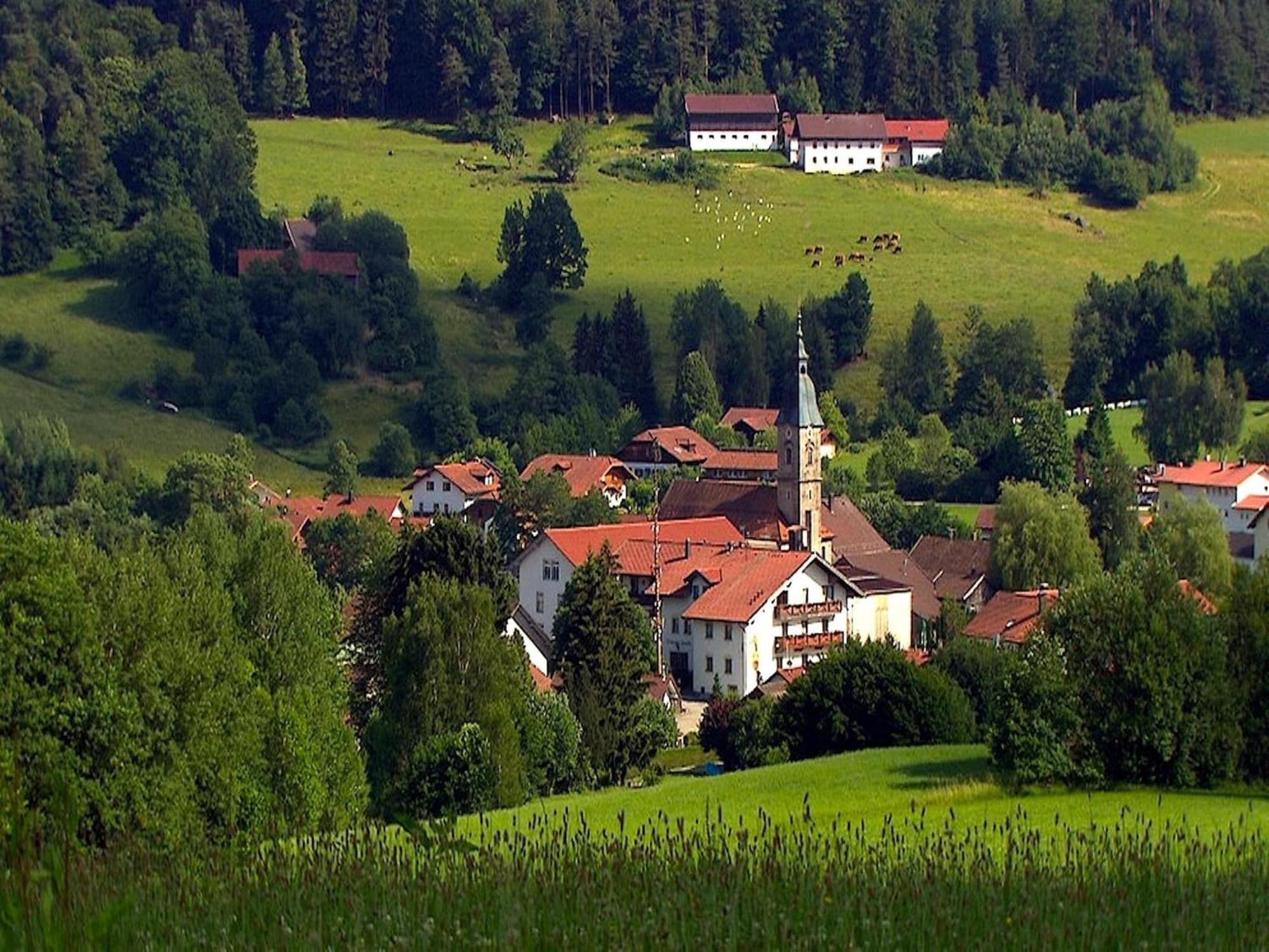 Comfortable Apartment In Zenting In Lower Bavaria Exteriör bild